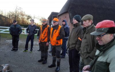 Klapjagt 21-11-2015