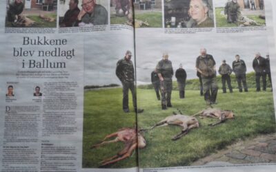 Bukketræf 2016