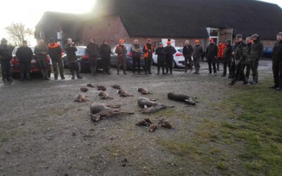Klapjagt 19-11-2016